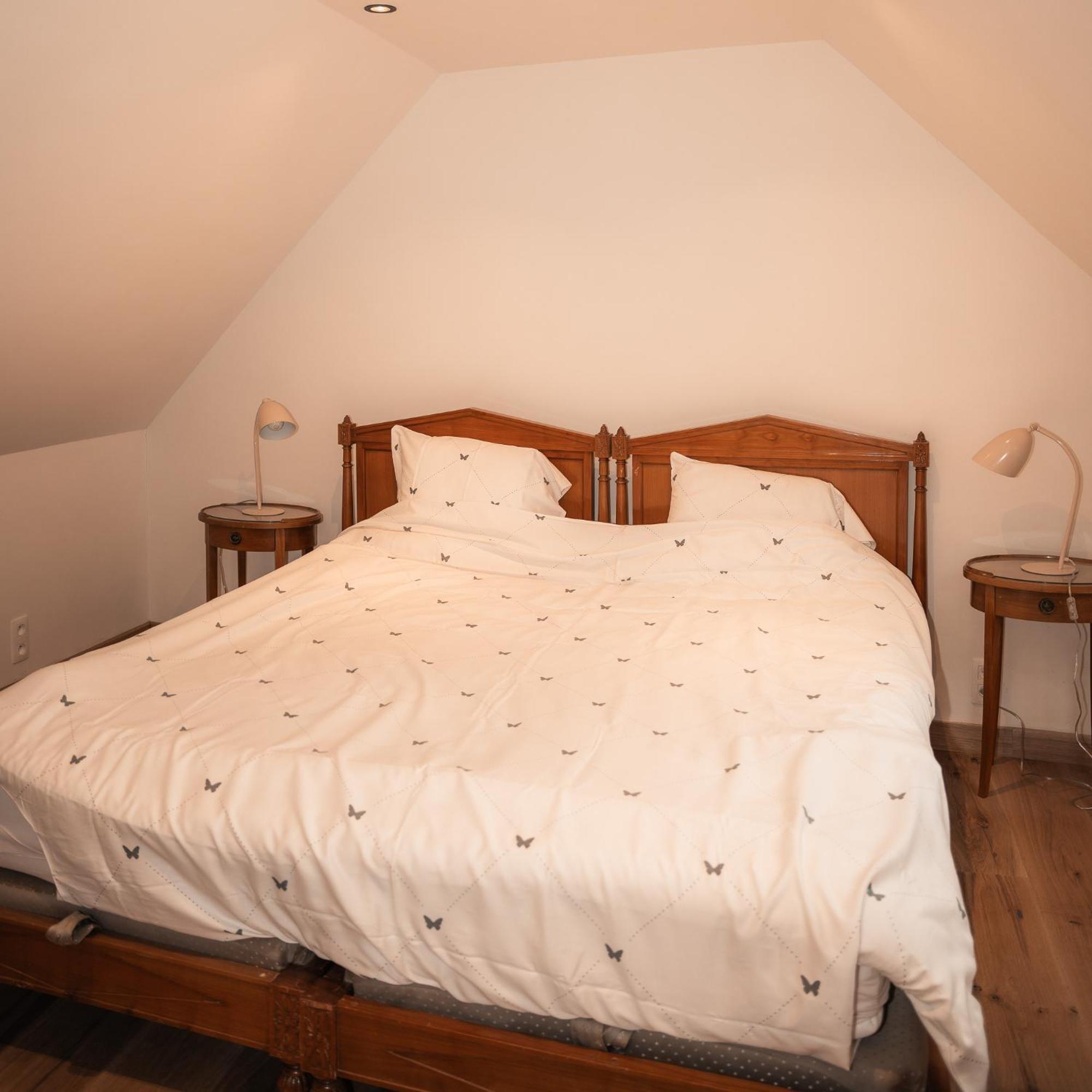 Lozerkasteel Hotel Kruishoutem Luaran gambar